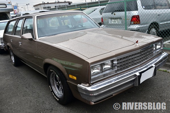 COCO出品 La Primera Kawasaki Ninja GPZ 900R: Reseña Completa | TikTok